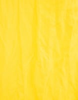 LaDoubleJ Jazzy Skirt Solid Yellow SKI0021COT004YEL0001
