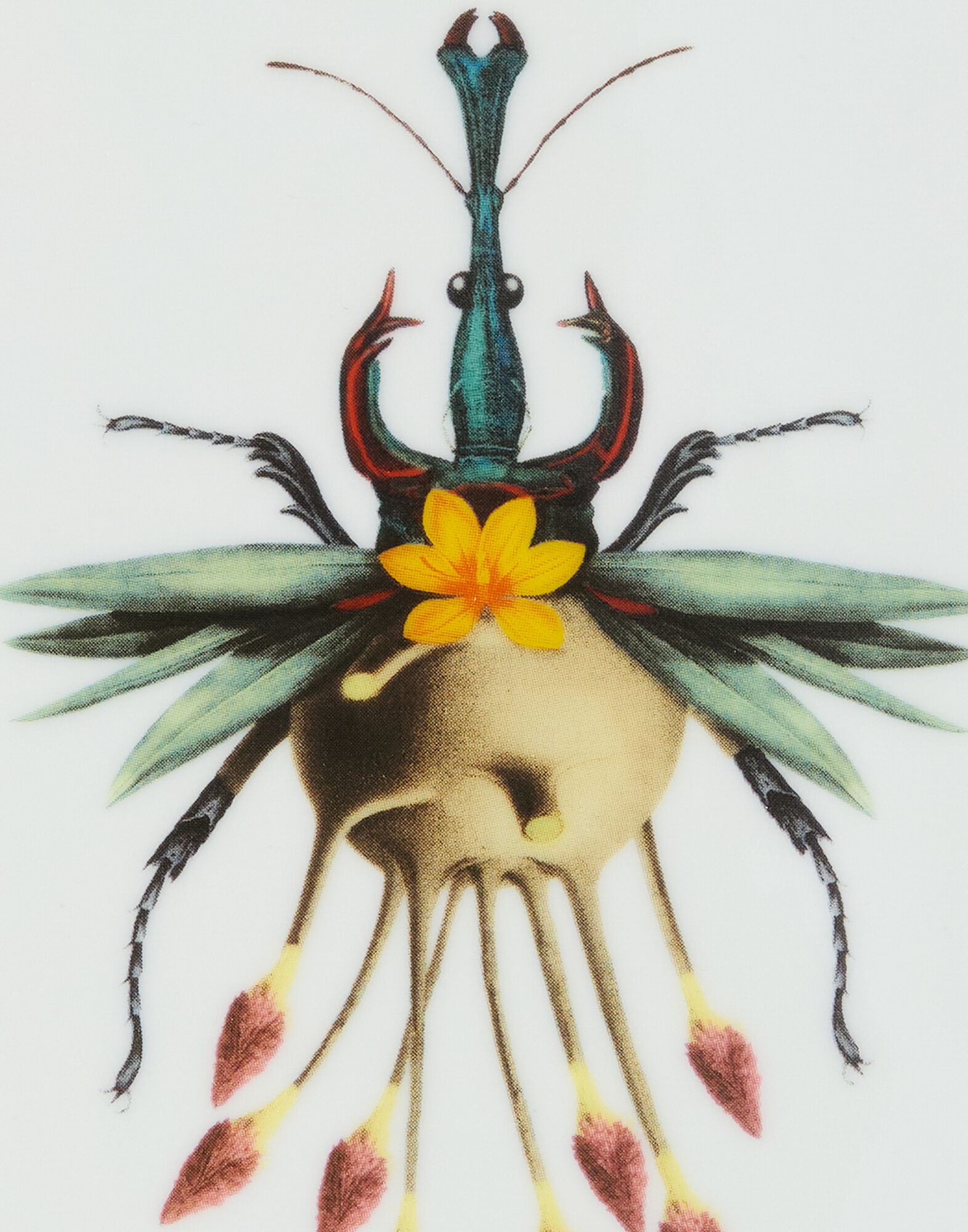 La DoubleJ Trinket Tray Leafbug Light Blue TRI0008CER001LEB01BU01