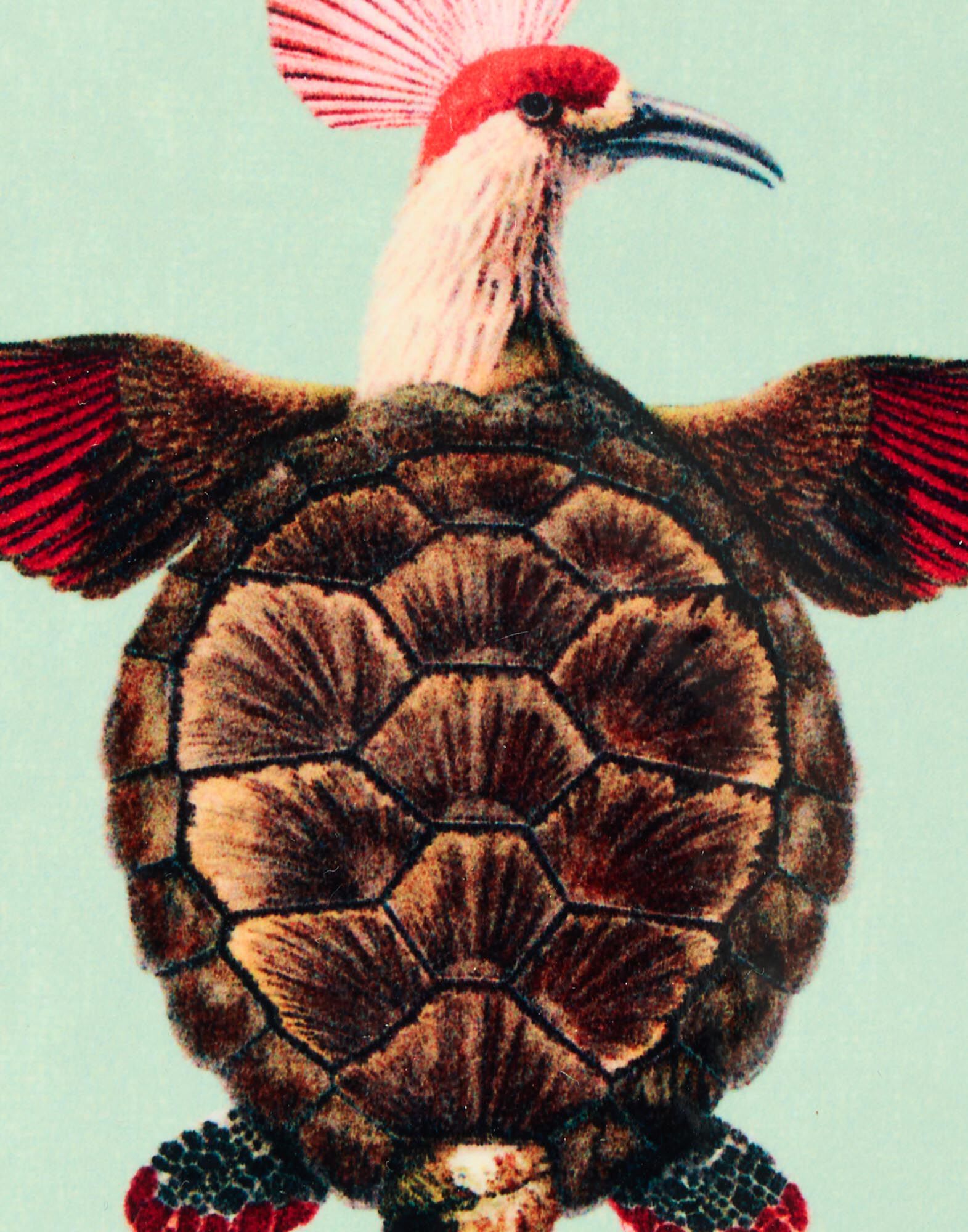 La DoubleJ Disk Coasters Set Of 4 Blooming Buddies CST0009CRK001BLB01MU03