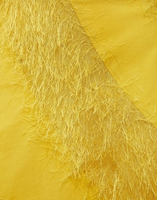 La DoubleJ Lollipop Skirt La DoubleJ Lollipop Skirt Solid Yellow SKI0060COT001YEL0001