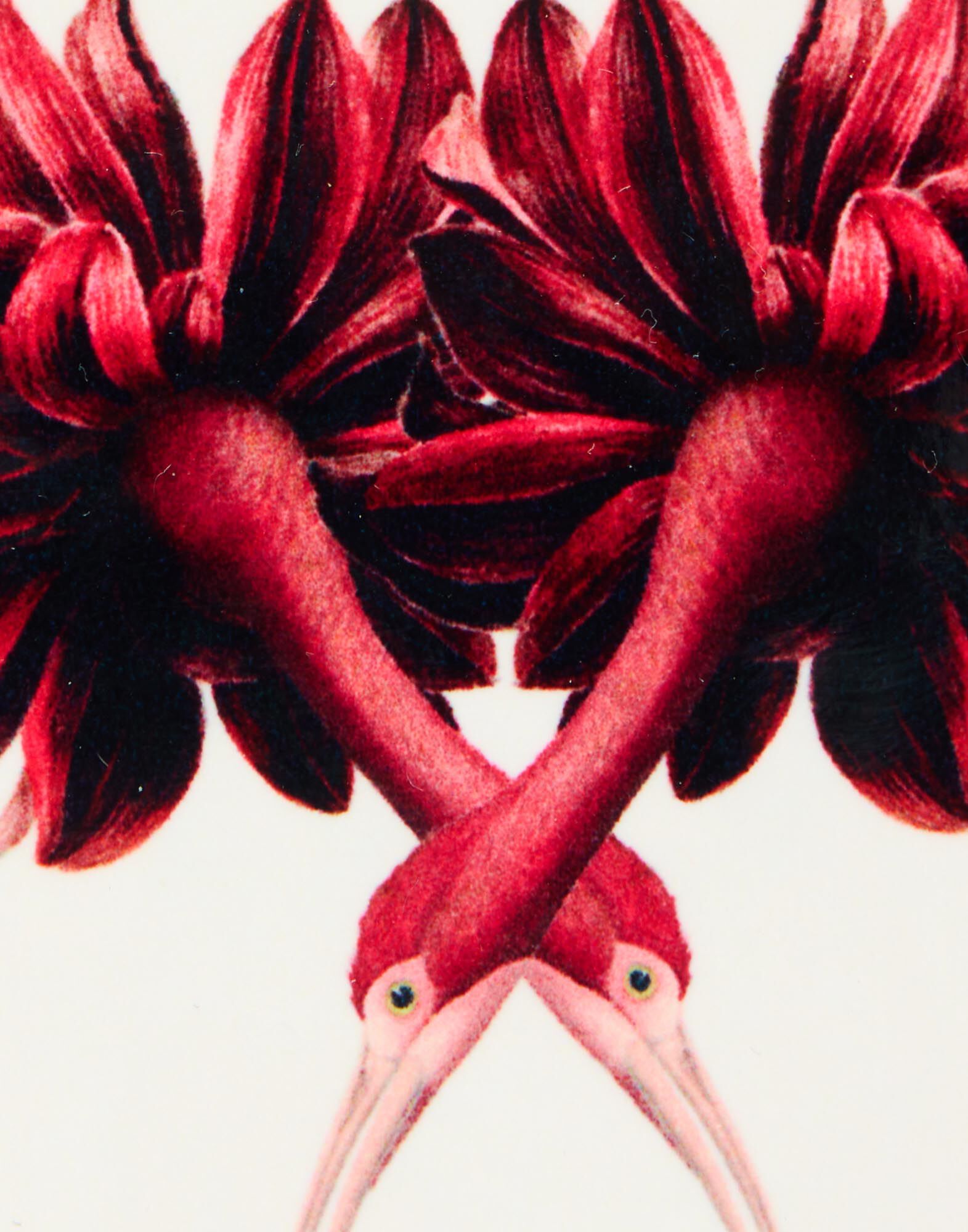 La DoubleJ Disk Coasters Set Of 4 Blooming Buddies CST0009CRK001BLB01MU03