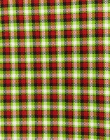 LaDoubleJ Boxy Coat LaDoubleJ Boxy Coat Check Verde/Nero JAC0014PLC002CHE0007