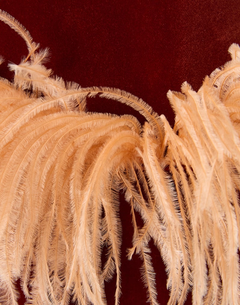 La DoubleJ Keaton Jacket La DoubleJ Keaton Jacket Terracotta JAC0073VEL011SOLIDBR08