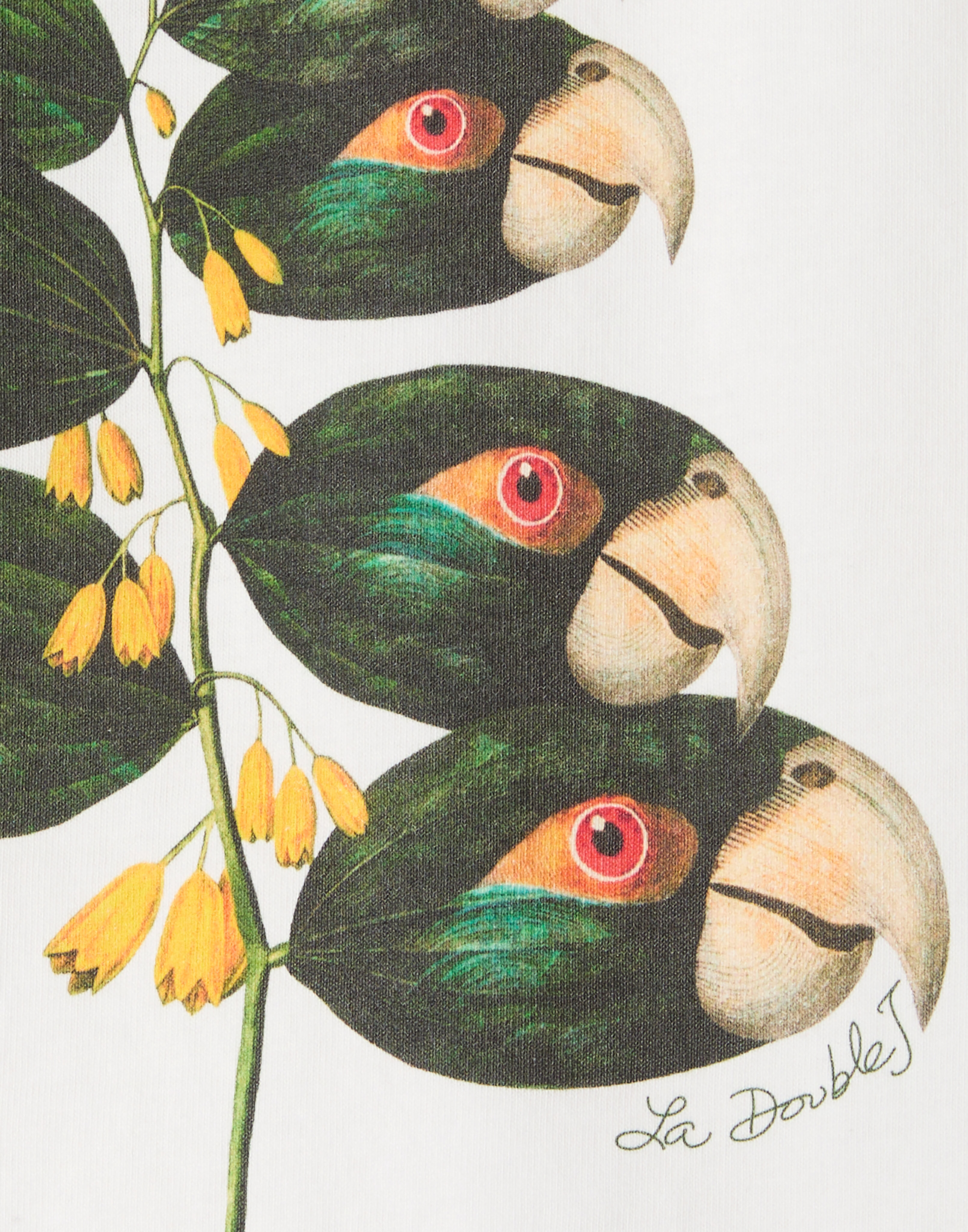 La DoubleJ High Tee Shirt Parrotstem Ecru TSH0069JER079PAS02BR05