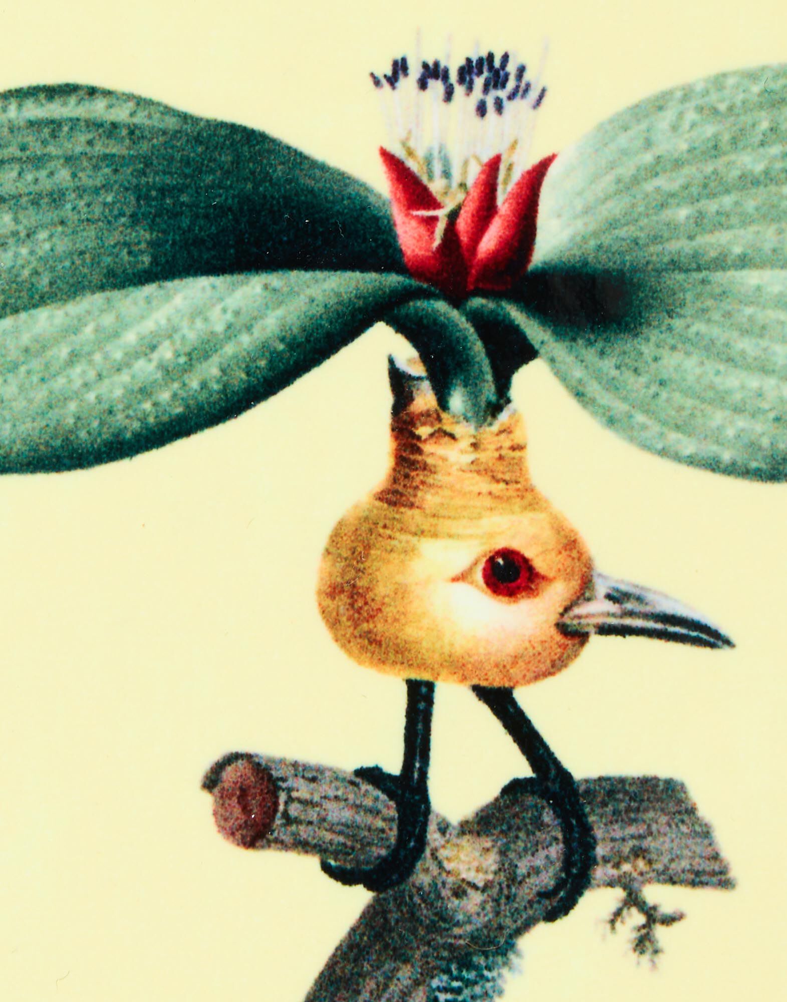 La DoubleJ Disk Coasters Set Of 4 Flying Friends CST0009CRK001FLF01MU03