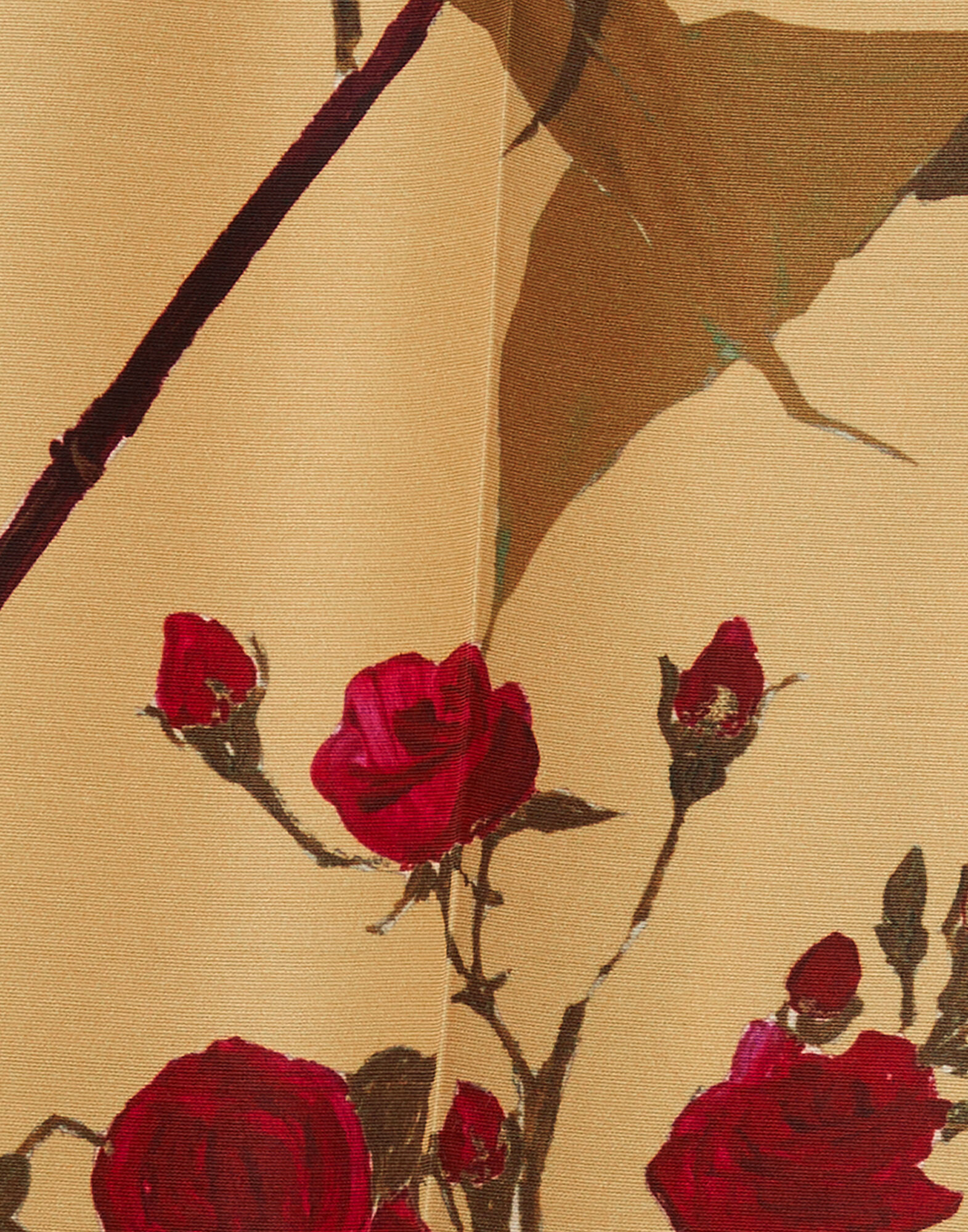 La DoubleJ Let Loose Pants Bamboo Yellow TRO0149CAD001BMB01YE02