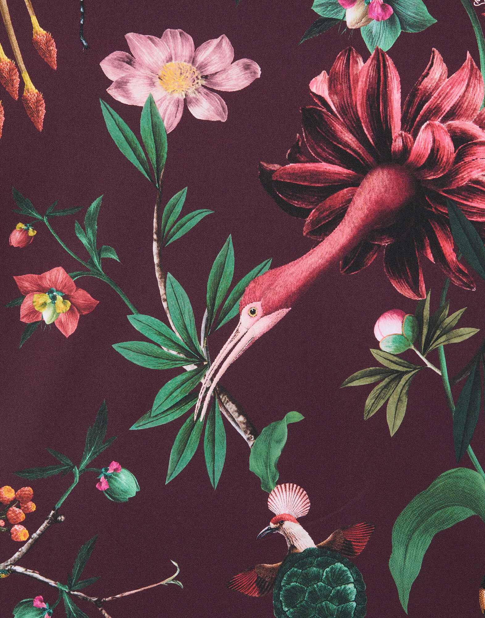 La DoubleJ Jazzercize T-Shirt Zooflora Burgundy TSH0010JER005ZOF02RE02