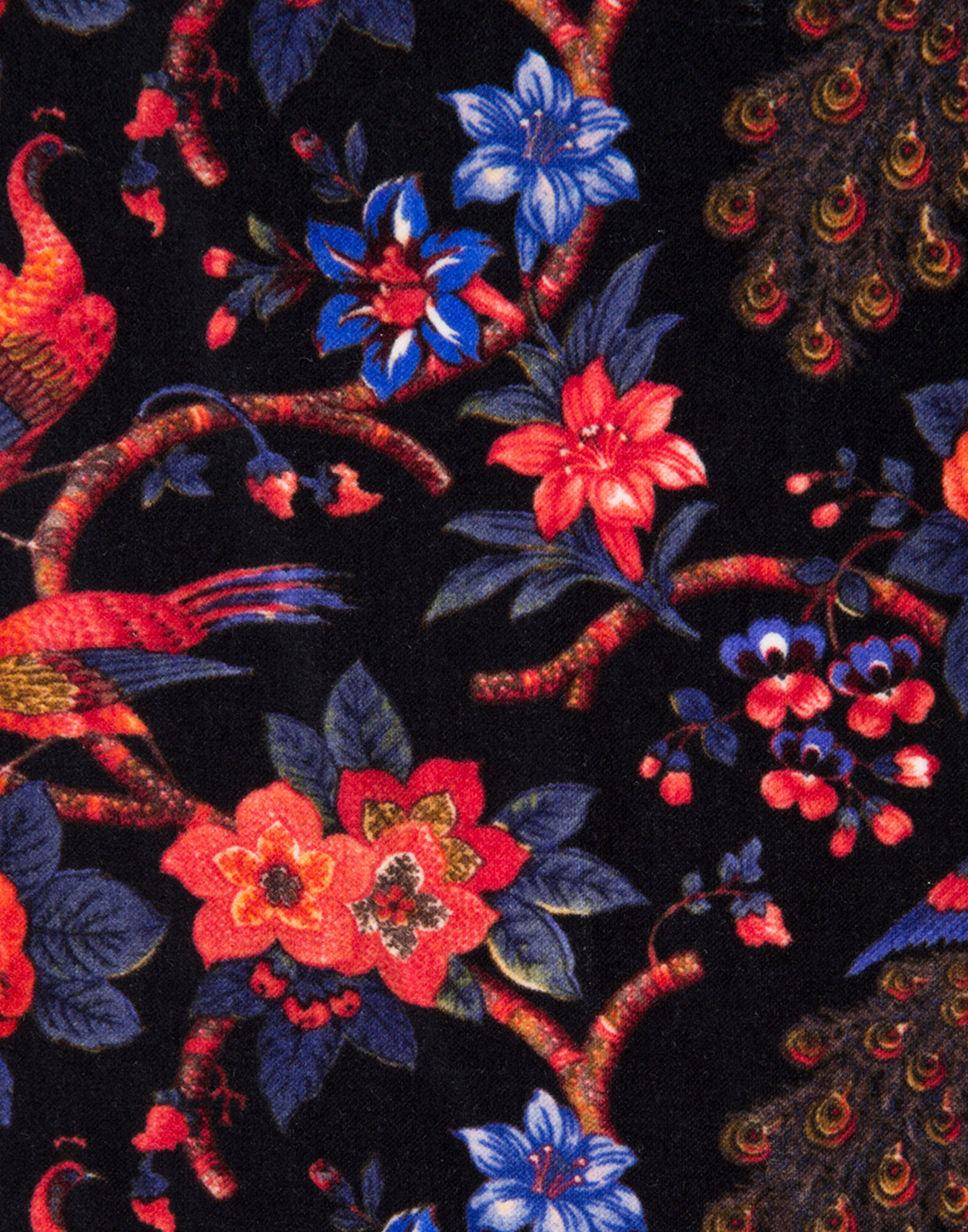 LaDoubleJ Velvet Swing Dress Pavone Nero DRE0021VEL001PAV0001