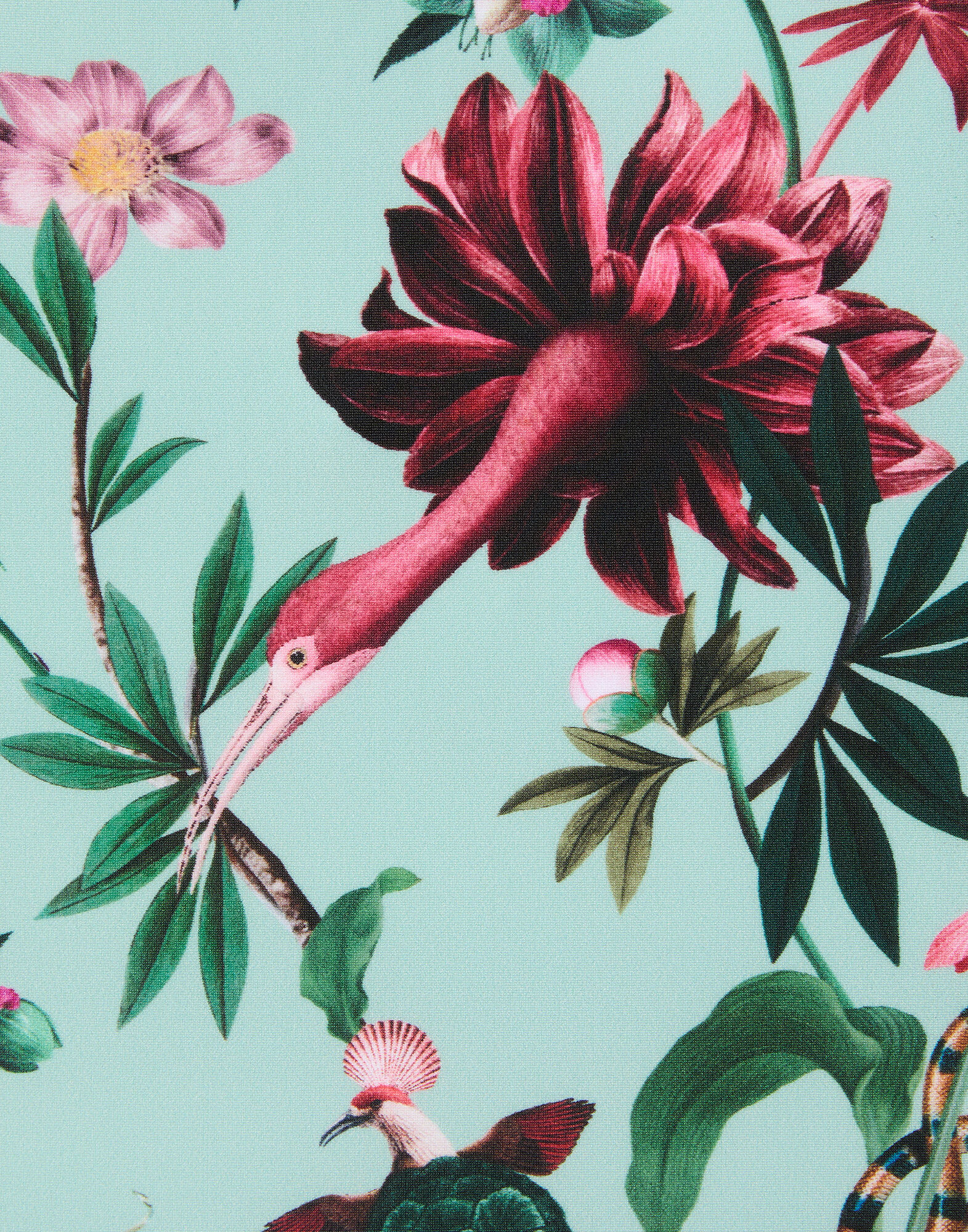 La DoubleJ Sexy Swimsuit Zooflora Mini Light Blue SWI0036LYC001ZOF05BU01