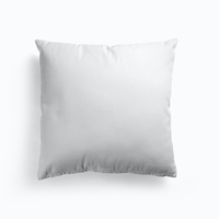 La DoubleJ Cushion Filling 55x55 Off White IMB0003PLY001WHI0001