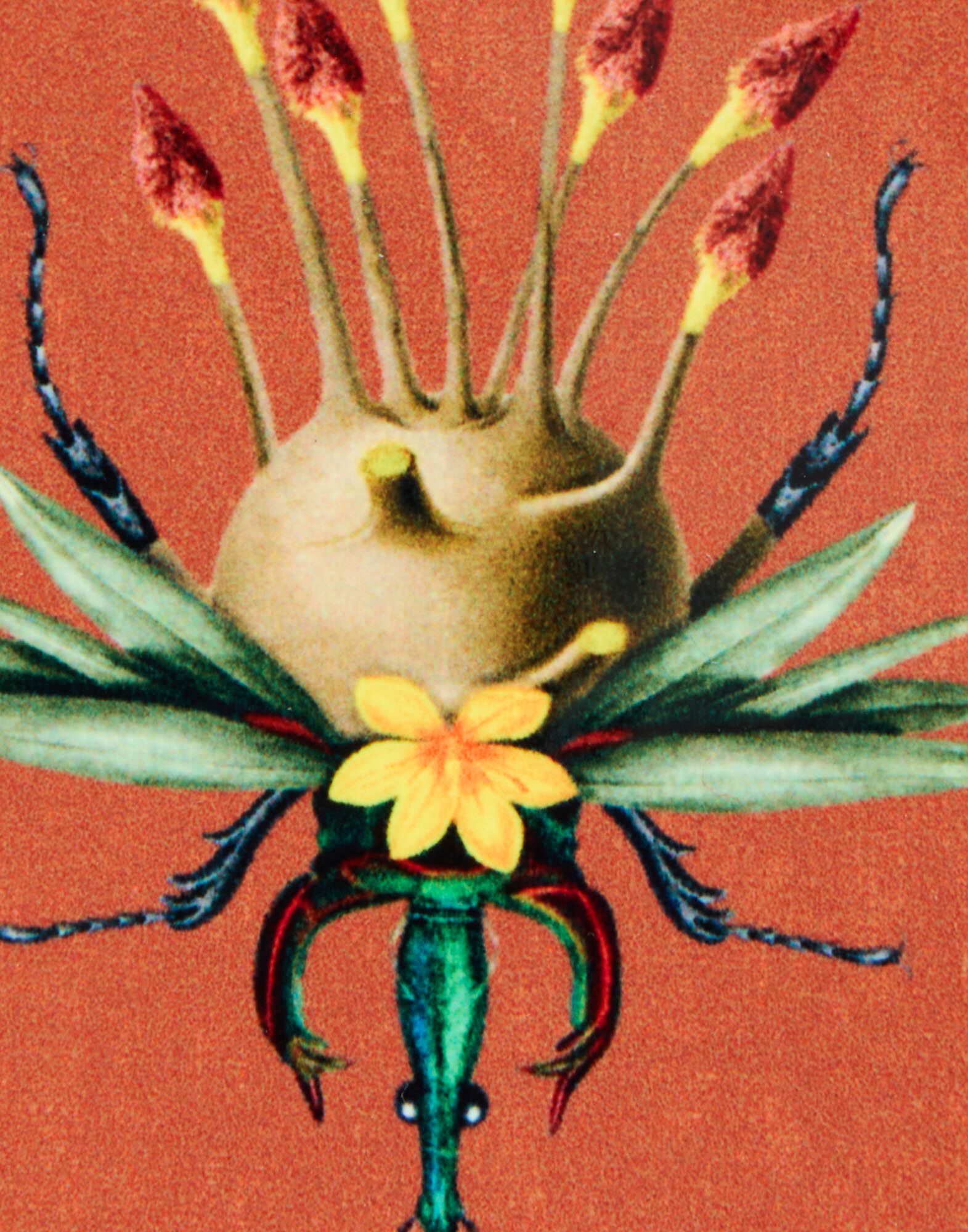 La DoubleJ Disk Coasters Set Of 4 Flying Friends CST0009CRK001FLF01MU03