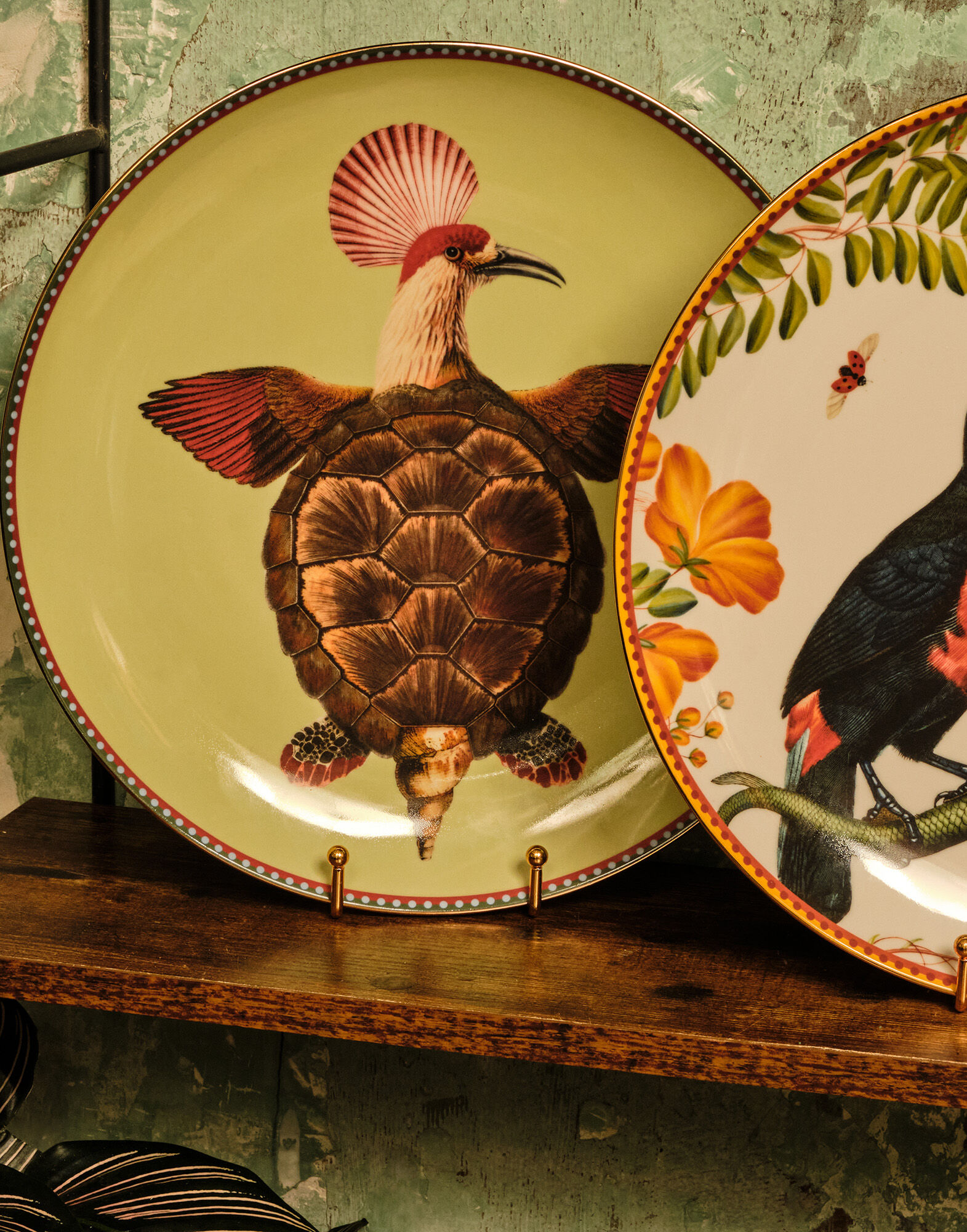 La DoubleJ Decorative Plate Turtlair Salvia DPL0001CER001TRL01GR06