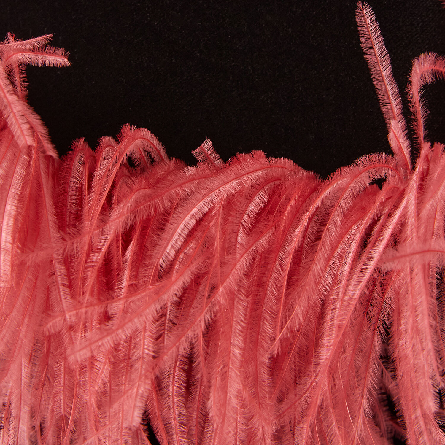 La Doublej Keaton Jacket In Solid Black