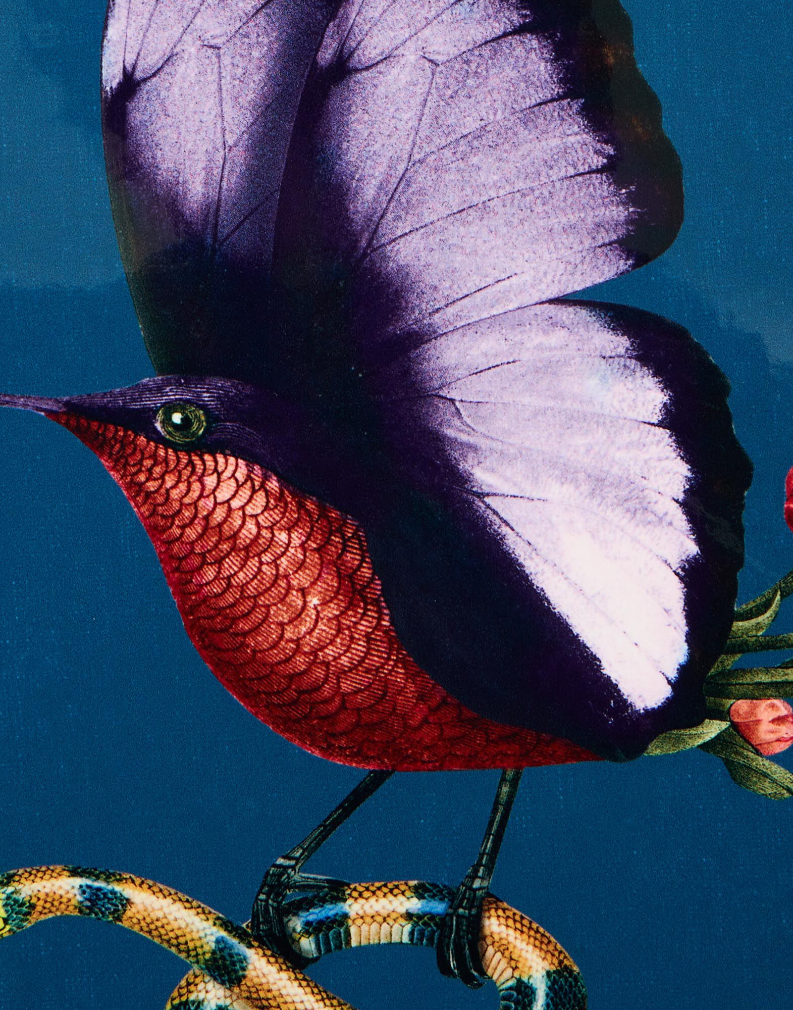 La DoubleJ Disk Placemat Butterbird Navy PMT0016CRK001BTB01BU06