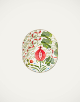 La DoubleJ Dessert Plates Set of 2 La DoubleJ Dessert Plates Set of 2 Pomegranate DIS0063CER001HLE0003