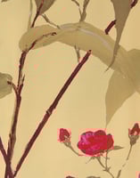 La DoubleJ Visconti Dress La DoubleJ Visconti Dress Bamboo Yellow DRE0041CRE001BMB01YE02