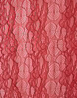 La DoubleJ Lacey Turtleneck La DoubleJ Lacey Turtleneck Solid Brick Red TOP0180LAC007SOLIDRE06