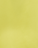 La DoubleJ Ascot Shirt La DoubleJ Ascot Shirt Acid Green SHI0080RAS008SOLIDYE06