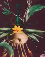 La DoubleJ Goddess Bikini Top La DoubleJ Goddess Bikini Top Zooflora Mini Burgundy SWI0024LYC001ZOF05RE02