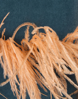 La DoubleJ Keaton Jacket La DoubleJ Keaton Jacket Light Blue JAC0073VEL011SOLIDBU01