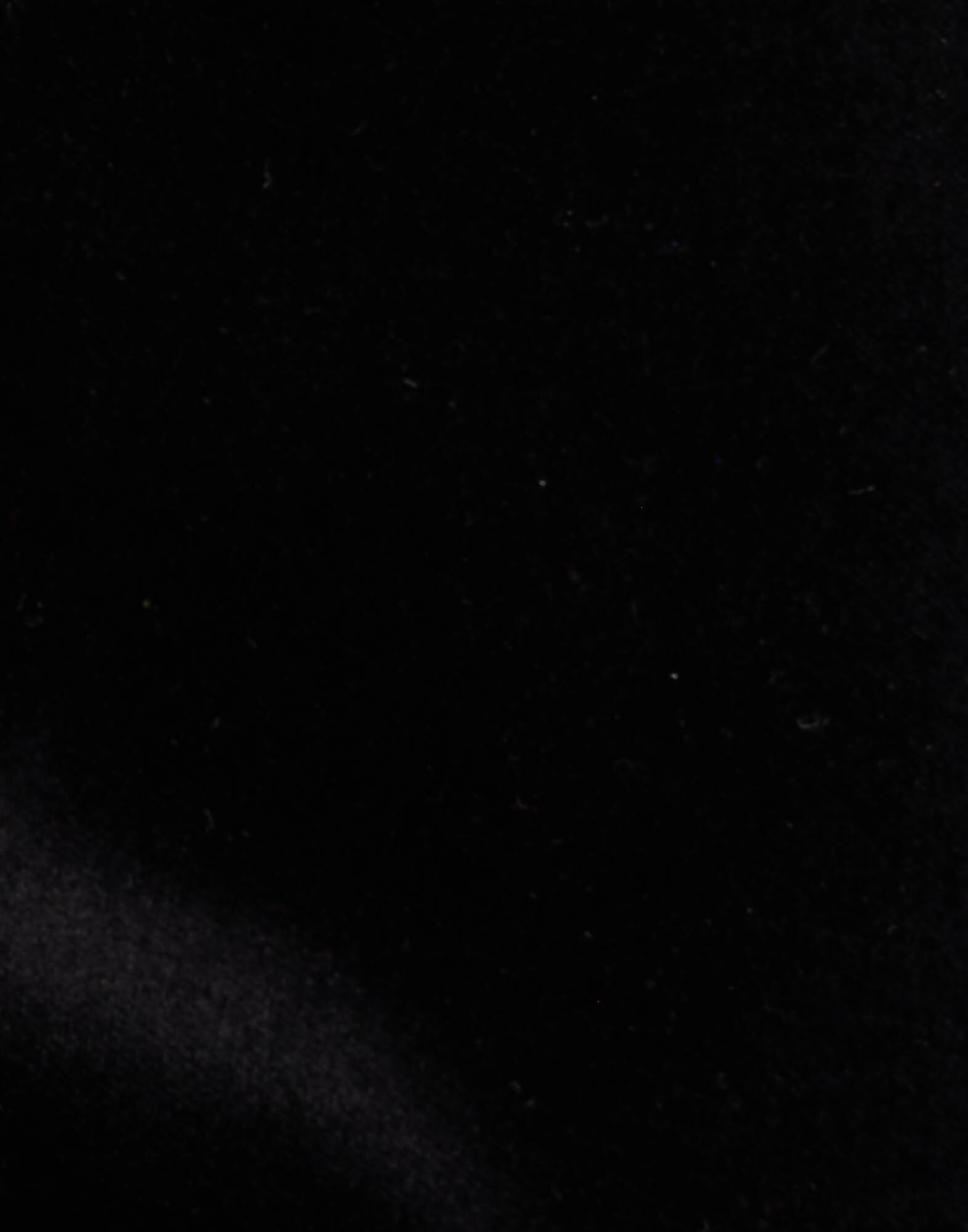 La DoubleJ 24/7 Pants Solid Black TRO0069VEL011SOLIDBL01