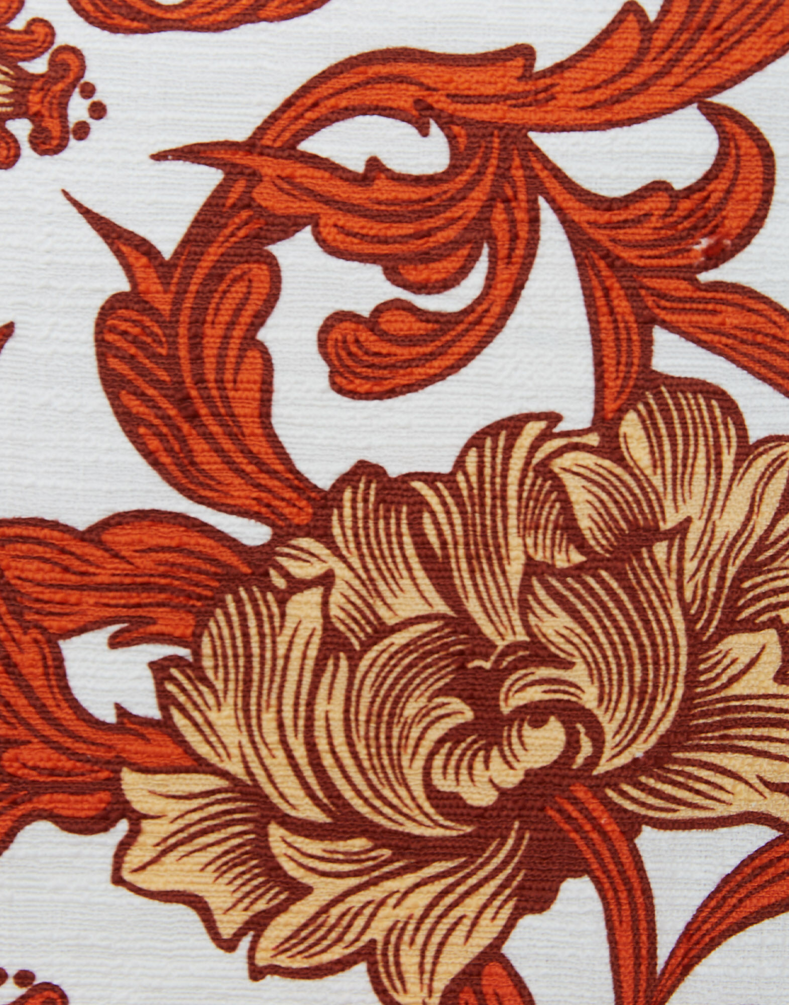 La DoubleJ La Scala Top Reef White TOP0013COT005REE01WH01