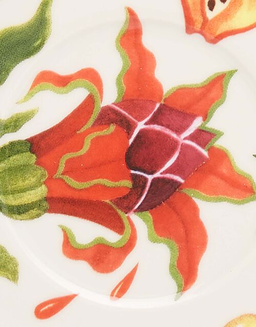 Soup & Dinner Plate Set