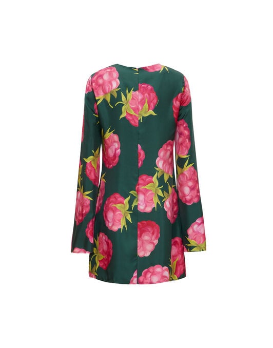 Mini Supreme Swing Dress La DoubleJ: Lampone Emerald DRE0652SIL001