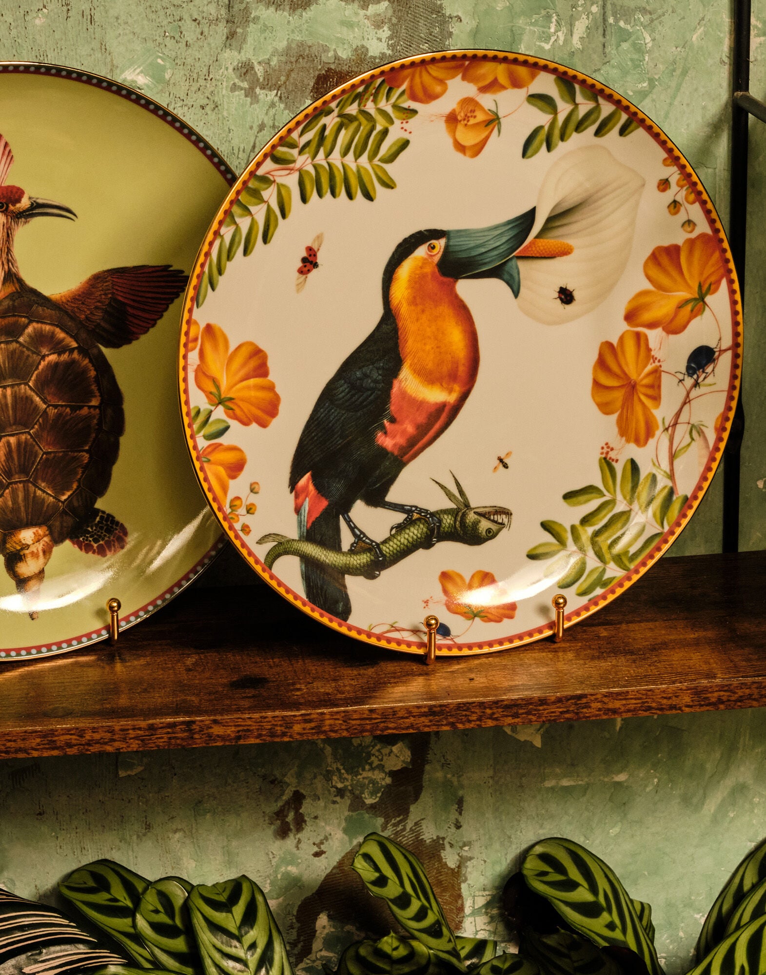 Decorative Plate La DoubleJ: Floroucan Ivory DPL0001CER001