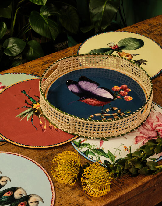 Disk Placemats Set Of 4 La DoubleJ: Flying Friends Disk Placemats Set Of 4 La DoubleJ: Flying Friends PMT0033CRK001