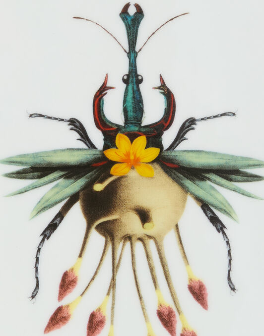 Trinket Tray La DoubleJ: Leafbug Light Blue Trinket Tray La DoubleJ: Leafbug Light Blue TRI0008CER001