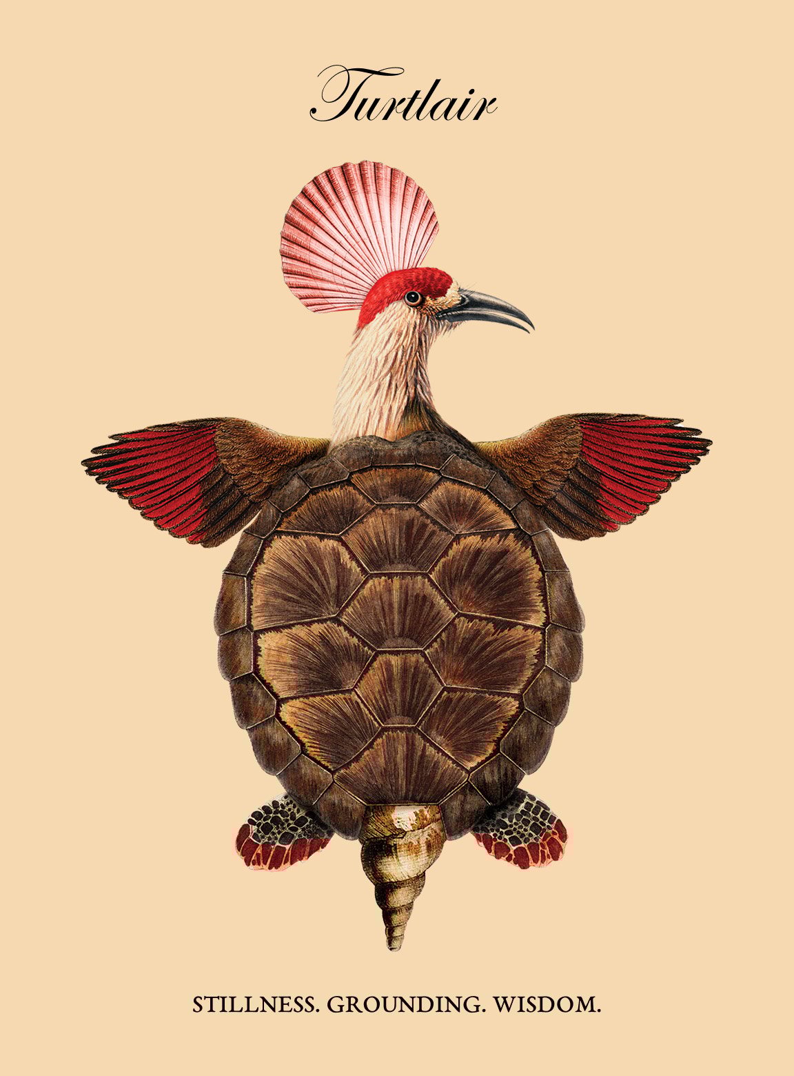Tortulair – Fantastic Creatures 02