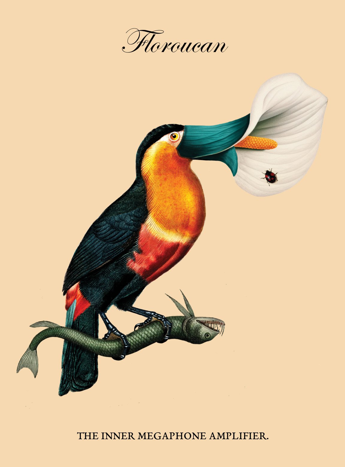 Floroucan – Fantastic Creatures 01
