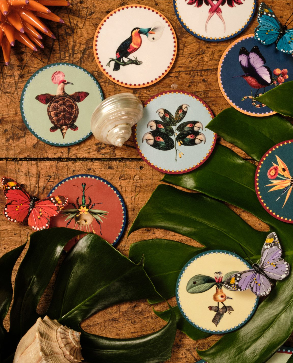 View of Beto Val Products