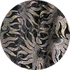 Brigid Dress La DoubleJ: ${colorDescription} Brigid Dress ${brand}: ${colorDescription} ${masterID}