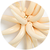 Primavera Earrings La DoubleJ: ${colorDescription} Primavera Earrings ${brand}: ${colorDescription} ${masterID}