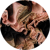 Lou Vest ${brand}: ${colorDescription} ${masterID}