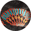 Winter Slides ${brand}: ${colorDescription} ${masterID}