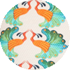 Surf Suit ${brand}: ${colorDescription} ${masterID}