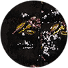 Bonbon Puffer Vest La DoubleJ: ${colorDescription} Bonbon Puffer Vest ${brand}: ${colorDescription} ${masterID}