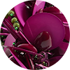 Petal Choker La DoubleJ: Burgundy NEC0076EMB222
