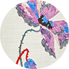 La Scala Top La DoubleJ: ${colorDescription} La Scala Top ${brand}: ${colorDescription} ${masterID}