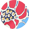 Tutto Suit ${brand}: ${colorDescription} ${masterID}
