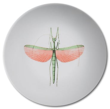 Espresso Cup & Saucer Set of 2 La DoubleJ: ${colorDescription} Espresso Cup & Saucer Set of 2 ${brand}: ${colorDescription} ${masterID}