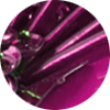 Jazz Bag La DoubleJ: Burgundy Jazz Bag La DoubleJ: Burgundy BAG0113EMB222