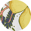 Apron ${brand}: ${colorDescription} ${masterID}
