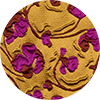 La Scala Tee La DoubleJ: ${colorDescription} La Scala Tee ${brand}: ${colorDescription} ${masterID}